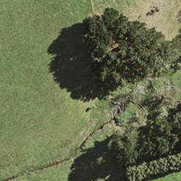 83 Pukewhau Road, Pukekohe, Pukekohe