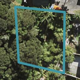 20A Fernwood Grove, Bayview, Auckland