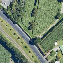 42 Borell Road, Te Puna