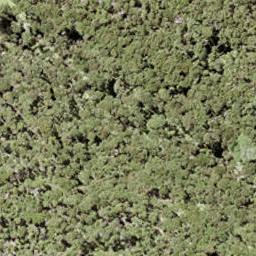 6 Vivian Bay, Kawau Island, Kawau Island