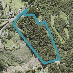 60 Bethells Road, Henderson