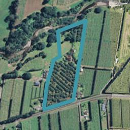 78 Rea Road, Tahawai, Katikati