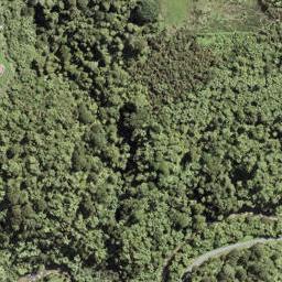 10 Hays Creek Road, Hunua
