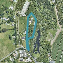 10 Loop Road, Minden, Tauranga