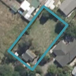 12 Pain Street, Bulls