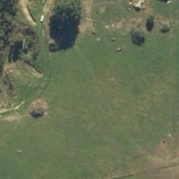 0 Te Mawhai Road, Tokanui, Te Awamutu