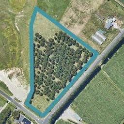 176 Wairoa Road, Minden, Minden