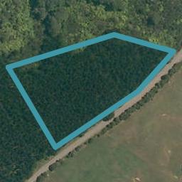 250 Austin Road, Dairy Flat, Dairy Flat