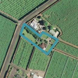 469 No 2 Road, Te Puke, Te Puke