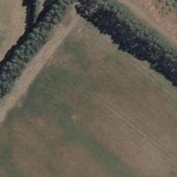 14 Dogwood Place, Prebbleton, Prebbleton
