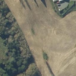 19 Tui Place, PUTARURU, TOKOROA