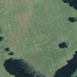 37 Arran Drive, Aongatete, Aongatete