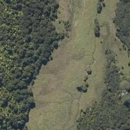 0 Pipiwai Road, Matawaia, Kawakawa