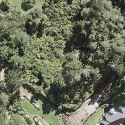 92 Lonely Track Road, Redvale, Auckland