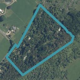 187 Packard Road, Motupipi