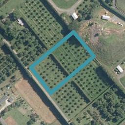 16 Kiriglen Lane, GLENBERVIE, WHANGAREI