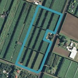 14 McMillan Road, Tahawai, Tahawai