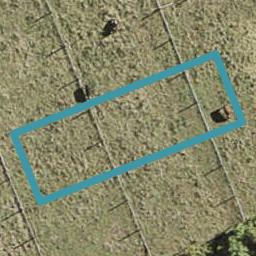 37 Clayden Shuttleworth Street, Papakura, Papakura