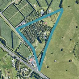 4 Francis Road, Whakamarama, Whakamarama