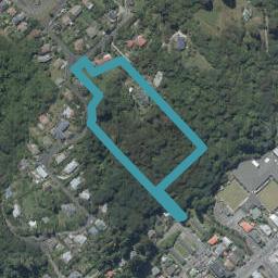 36 Barclay Street, North East Valley, Dunedin