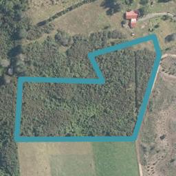 114B Hauparua Lane, Kerikeri, Kerikeri