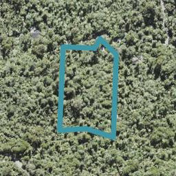 174 Opanuku Road, Henderson Valley, Auckland