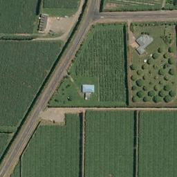 685 No 2 Road, Te Puke, Te Puke