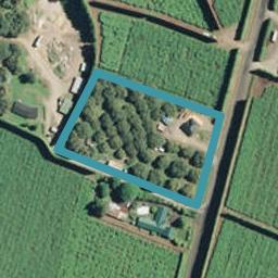 330 No 2 Road, Te Puke, Te Puke