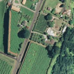 265 No 1 Road, Te Puke, Te Puke