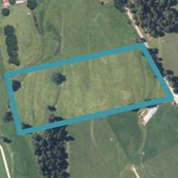 0 Mirfins Road, Ikamatua, Totara Flat