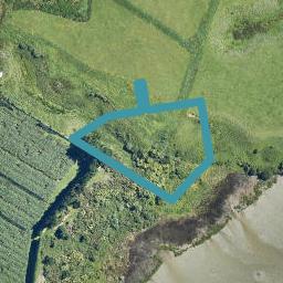 30 Triplefin Avenue, OMOKOROA