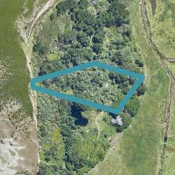 620 Mangatawa Lane, KAIRUA, PAPAMOA