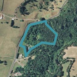 553 Work Road, Whakamarama, Katikati