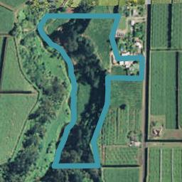 216 No 3 Road, Te Puke, Te Puke