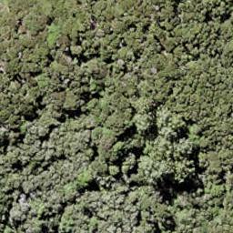 0 Bon Accord Harbour, Kawau Island, Kawau Island