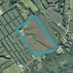0 Copenhagen Road, Te Kaha, Te Kaha