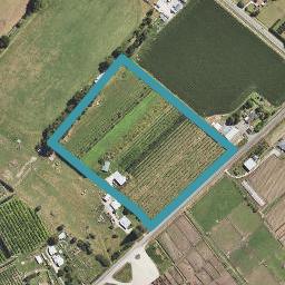 101 Bell Road, Matawhero, Gisborne