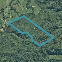 0 Copenhagen Road, Te Kaha, Te Kaha
