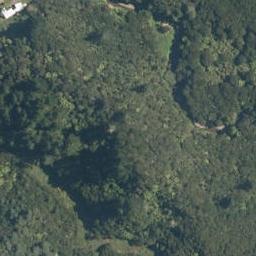 0 Matangirau School Road, Kaeo, Kaeo