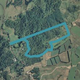 747 Tablelands Road, TIROHANGA, OPOTIKI