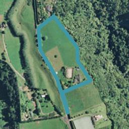 459 Glue Pot Road, Oropi, Tauranga