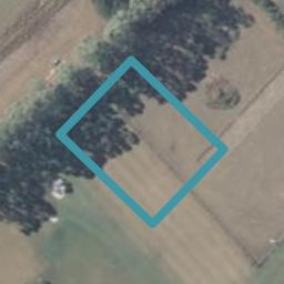219 Racecourse Road, ALLENTON, ASHBURTON