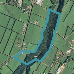 387 No 2 Road, TE PUKE, Te Puke