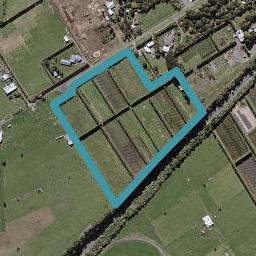 6 Armstrong Avenue, WAITARA, Waitara