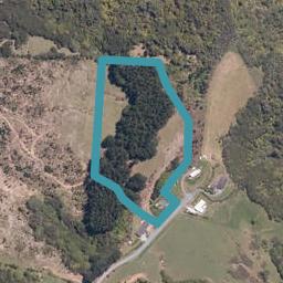 217 Schollum Road, Warkworth