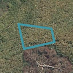15 Akakura Terrace, Peacocke, Hamilton