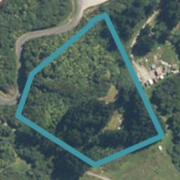 0 Noname Road, Dunganville