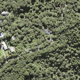 16 Walker Road, Henderson Valley, Auckland
