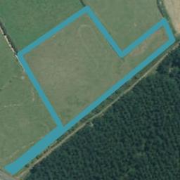 226 Kopuku Road, Maramarua Forest