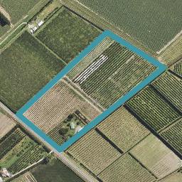 62 Bushmere Road, Gisborne